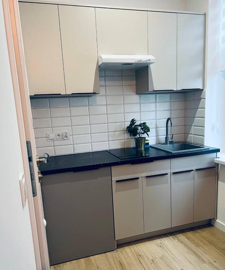 Piekny Apartament Na Stachowicza 크라쿠프 외부 사진